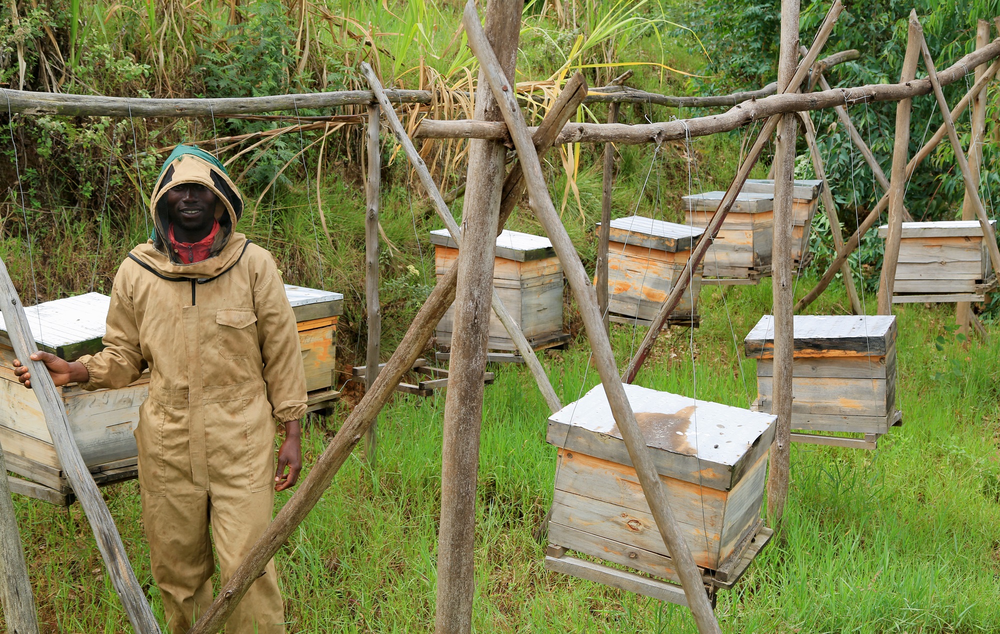 The Rwandan Traditional Bee Keeping and Honey Experience