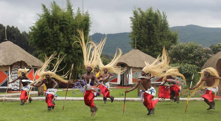 The Gorilla Guardians of Rwanda