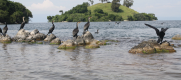Exploring the Lakes and Waterways of Rwanda