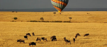 14 Days Kenya and Zanzibar Safari