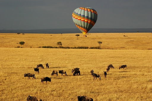 Which are the best African Safari Tours ?