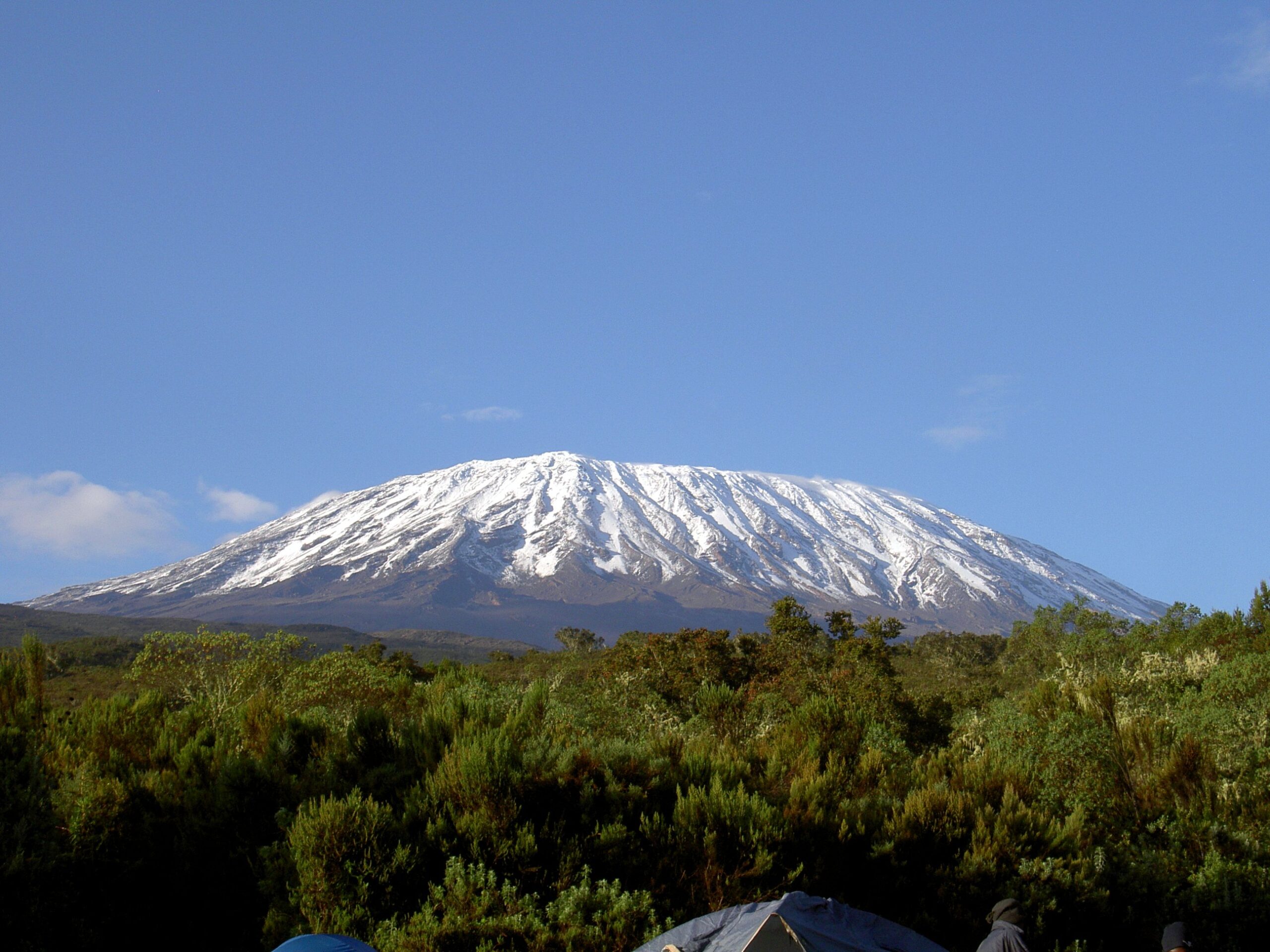 Climbing The Roof Of Africa