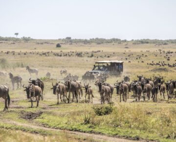 8 Days Rwanda and Kenya Safari