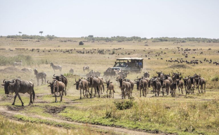 Maasai Mara National Reserve