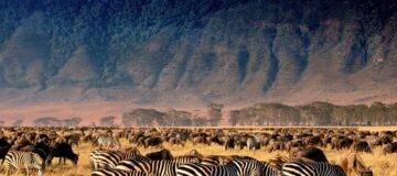 Ngorongoro Crater