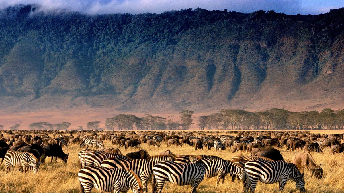 Ngorongoro Crater