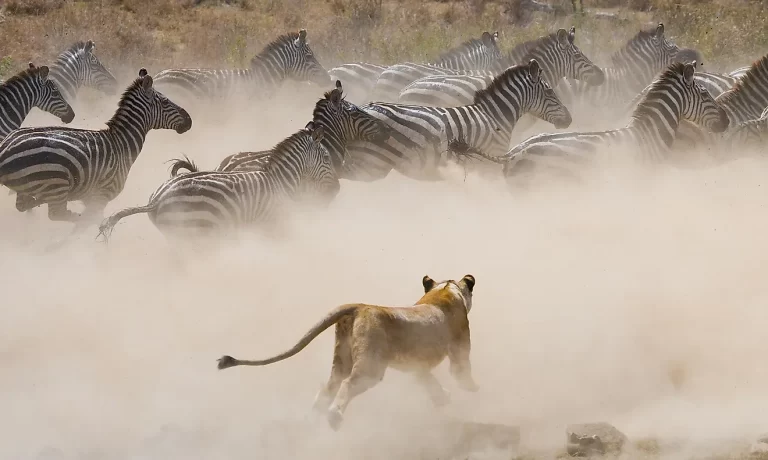 Serengeti National Park