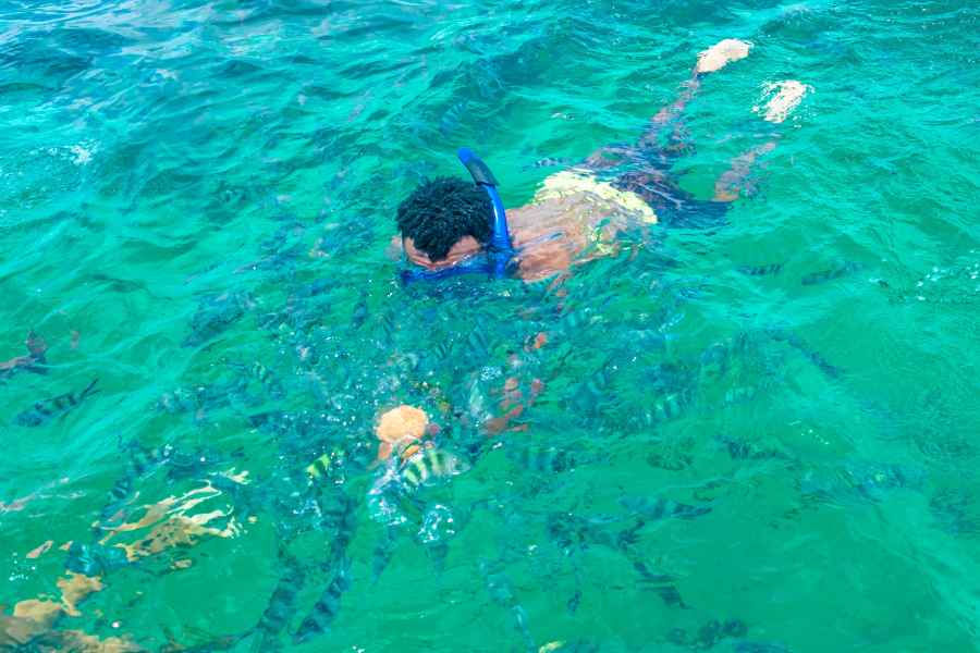 Mombasa Marine Park