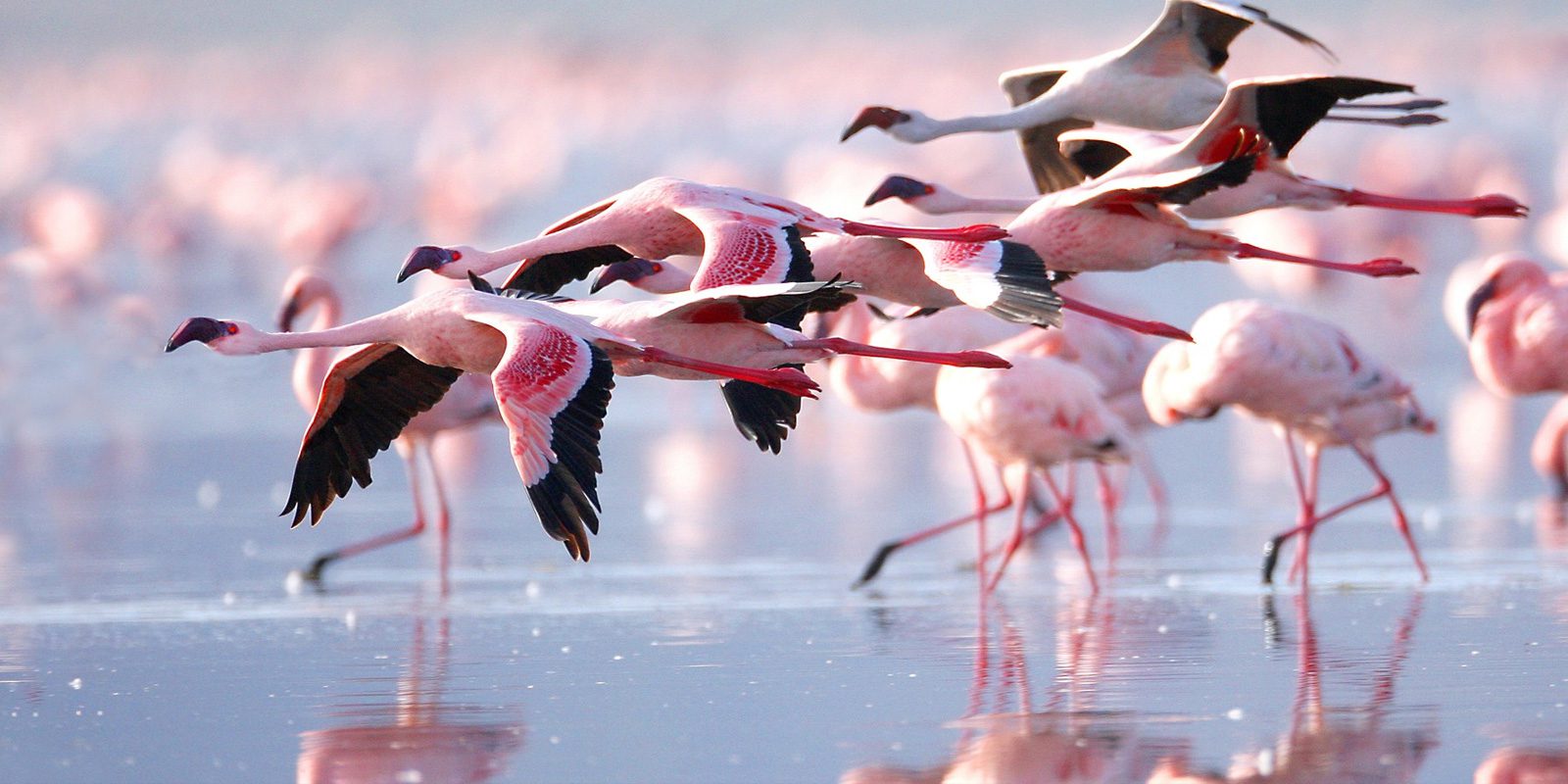 Lake Nakuru National Park