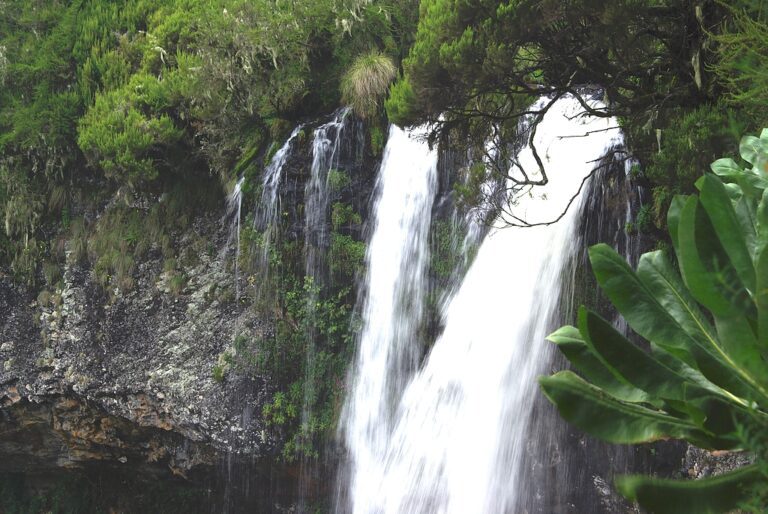 Aberdare National Park