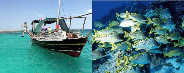Mombasa Marine Park