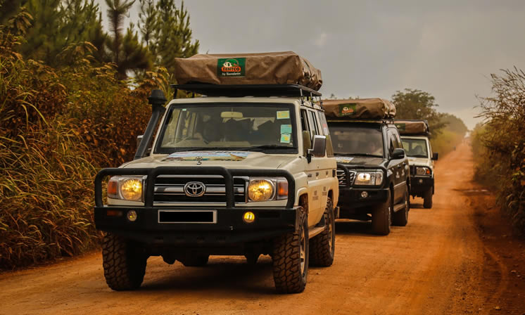 Self Drive safaris in Rwanda