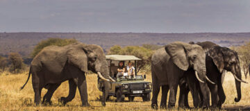Touring Tarangire National Park
