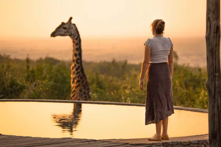 5 Tips to Consider When Booking Your African Safari