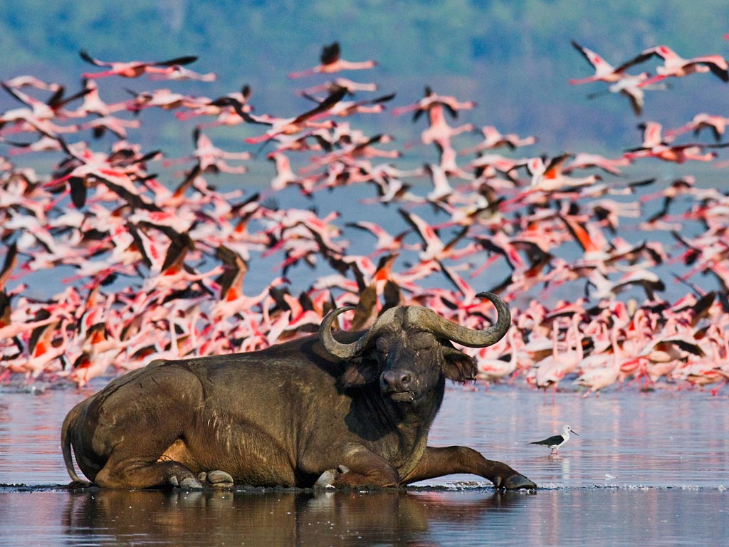 17 Days Uganda Kenya Safari Tour