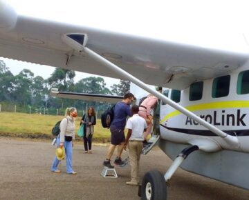 6 Days fly-in safari Bwindi and Queen Elizabeth national park