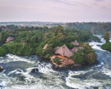 8 Days Uganda primates, wildlife and Jinja Rafting Safari