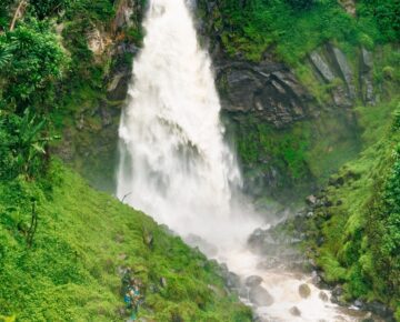4 Days Kahuzi Biega Gorilla Trek and Hike Tshibati Waterfalls Tour