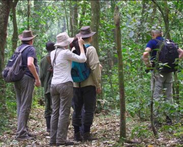 5 Days Kibale and Bwindi Safari
