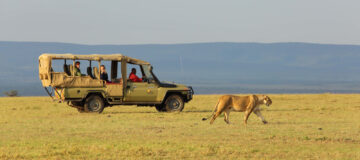 A day on an East African safari
