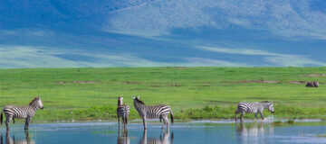 11 Days Rwanda and Kenya Safari