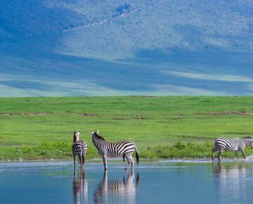 11 Days Rwanda and Kenya Safari