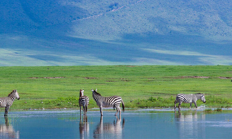 11 Days Rwanda and Kenya Safari