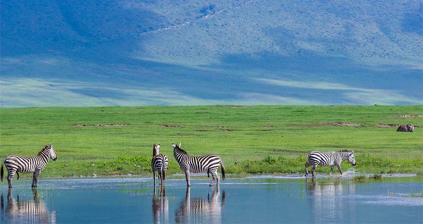 11 Days Rwanda and Kenya Safari