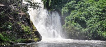 Top 5 Tourist Attractions in Uganda