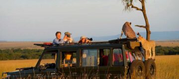Top Safari Activities in Tanzania