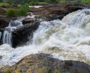 9 Days Ngamba Island and Jinja Rafting Safari Holiday