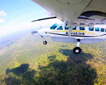 3 Days Uganda Fly-in Gorilla Habituation Safari