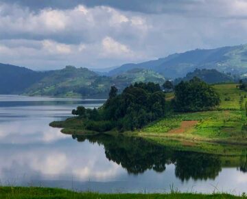 11 Days Uganda safari