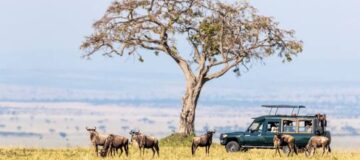 4 Days Kenya Maasai Mara Safari