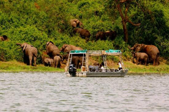 8 Days Queen Elizabeth Wildlife and Rwanda Safari
