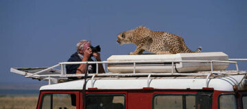 Kenya Wildlife Photography Safari