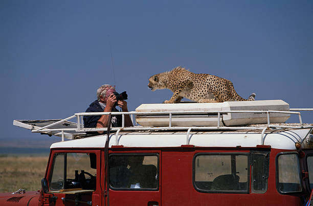 Kenya Wildlife Photography Safari