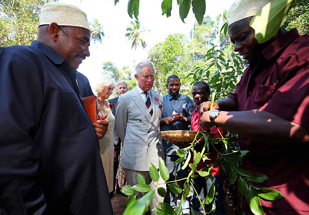 Zanzibar Spice Tours