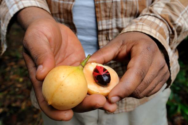 Zanzibar Spice Tours