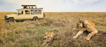 Game Drive Safaris in Serengeti National Park