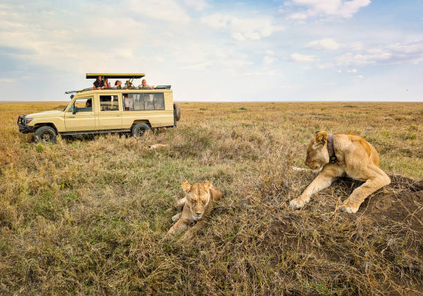 Game Drive Safaris in Serengeti National Park