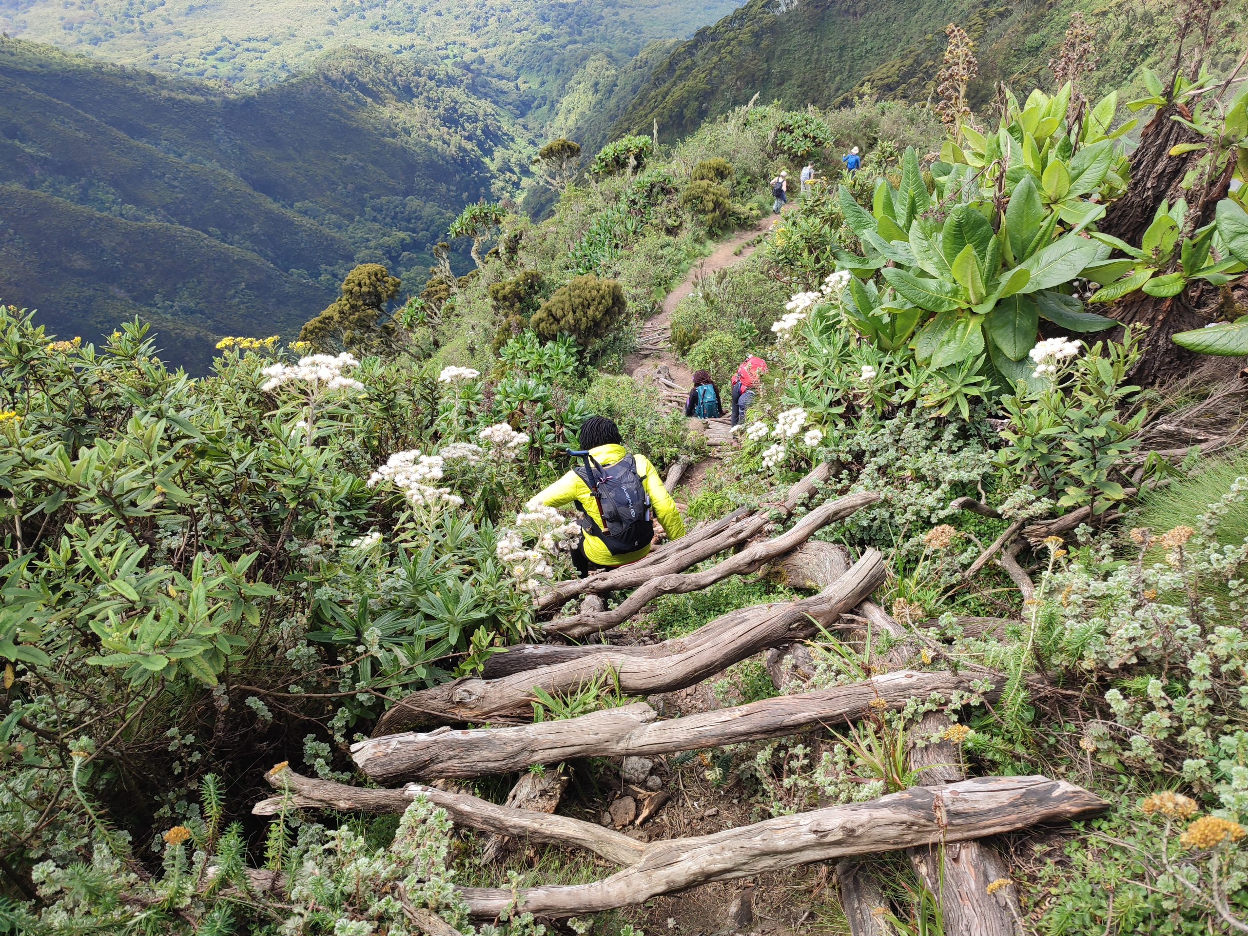 Hiking Mount Sabyinyo in Rwanda