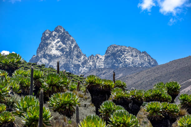 4 Days Mount Kenya Tour