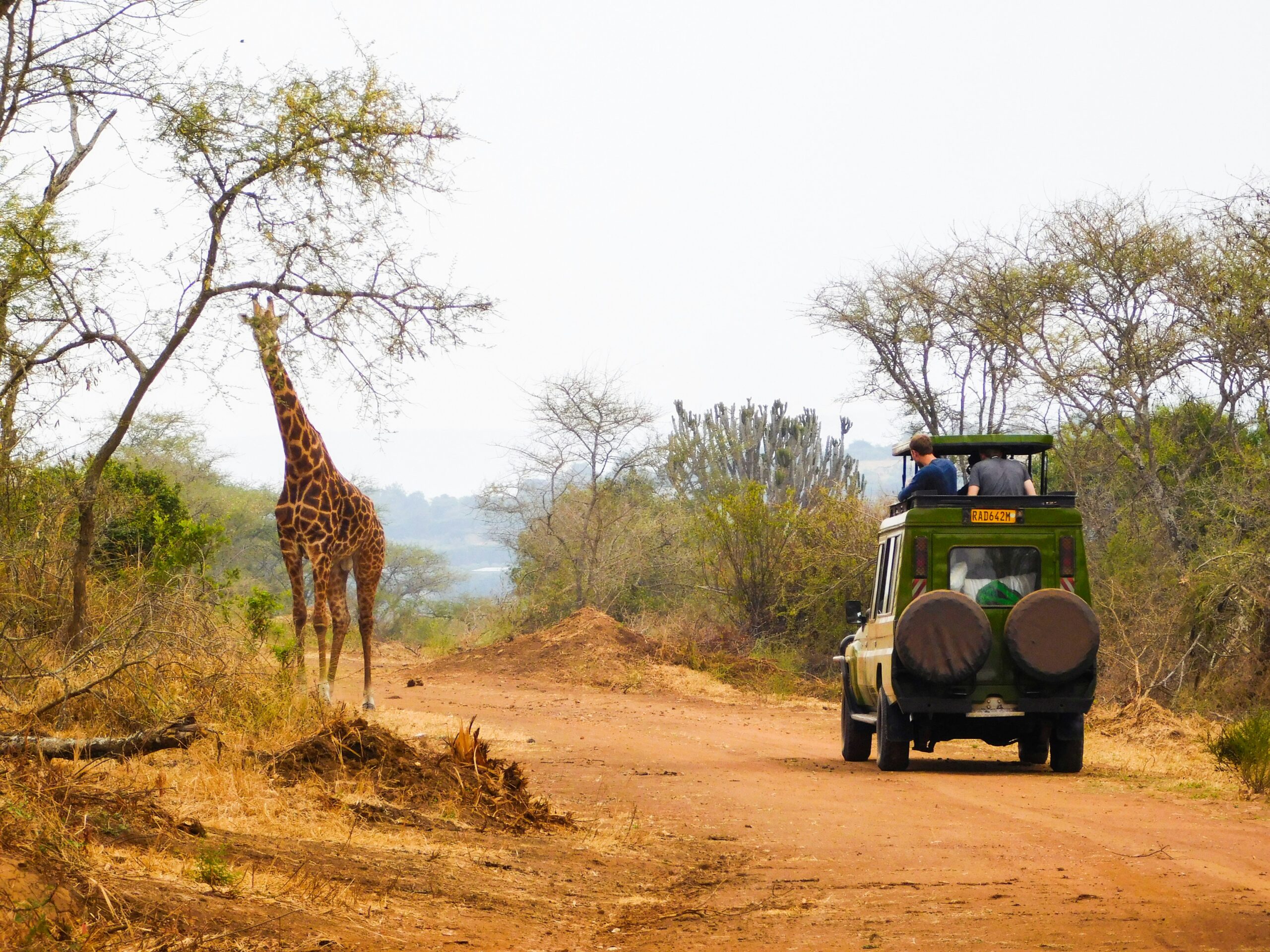 5 Days Rwanda Gorilla Trek and Wildlife Safari