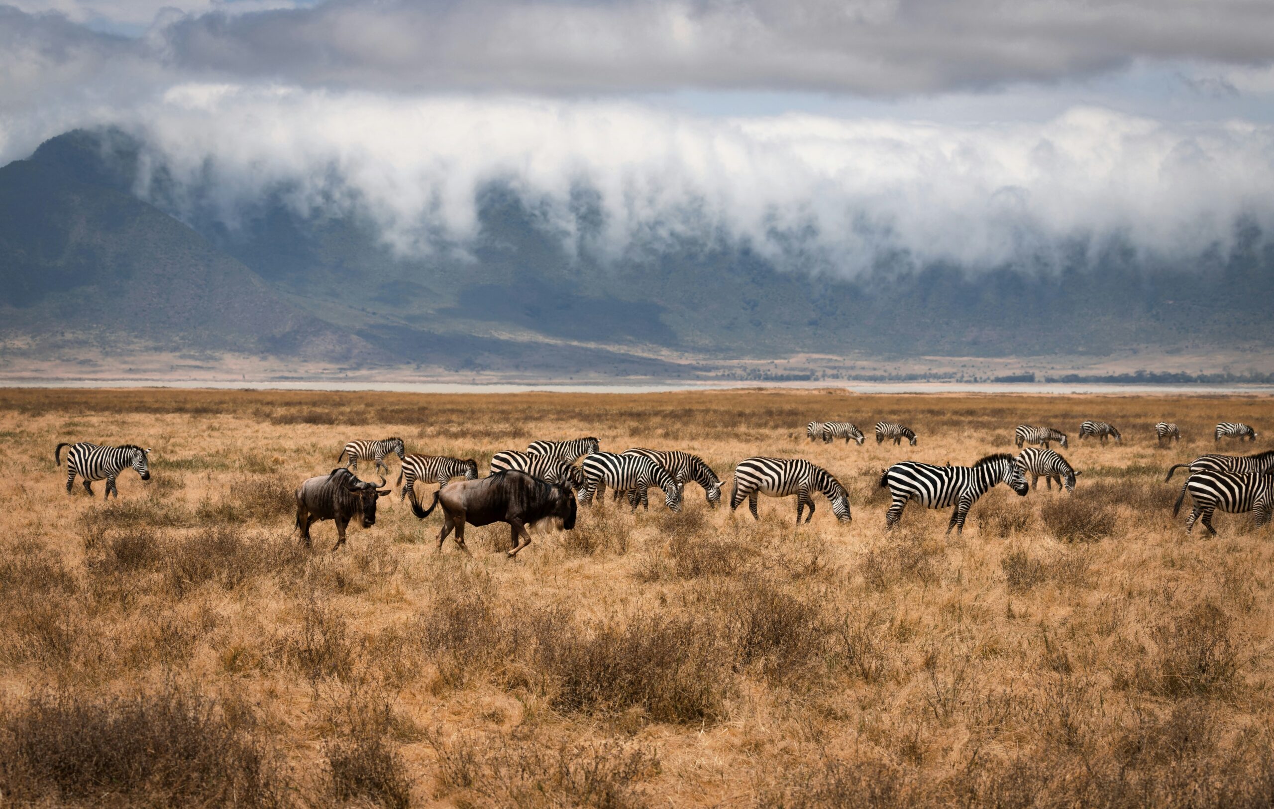 8 Days Uganda and Tanzania Safari