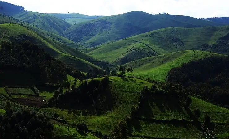 Landscape in Rwanda