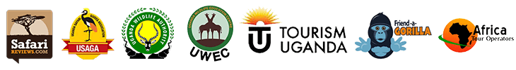 tour affiliation network
