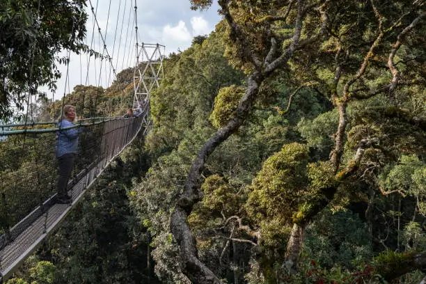 7 Days Best Of Rwanda Safari