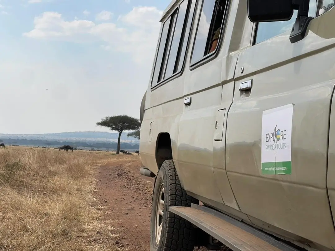 Gorilla trekking landscape in Rwanda